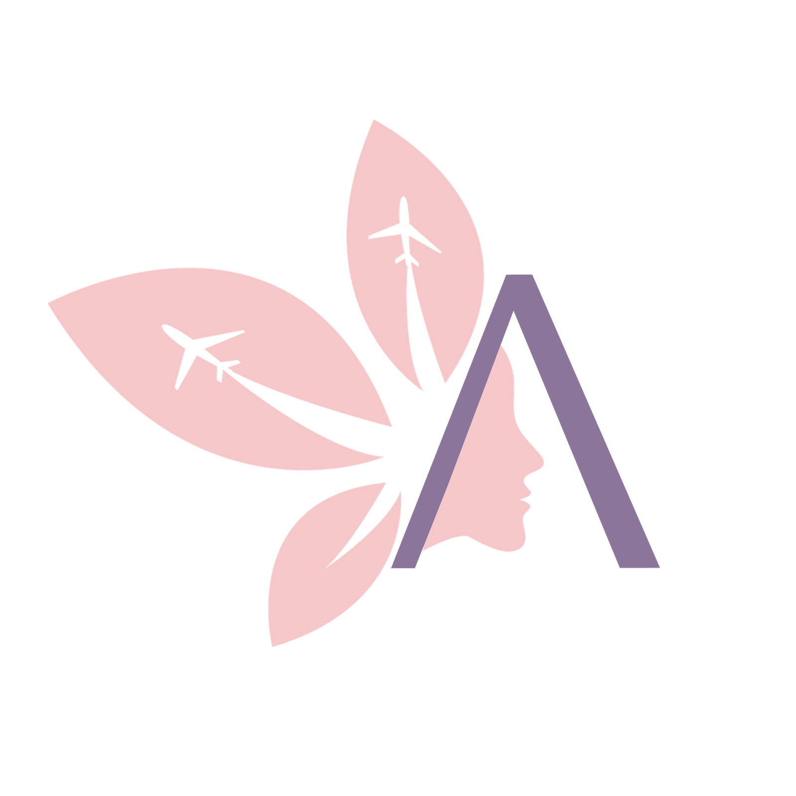 Anita Conecta